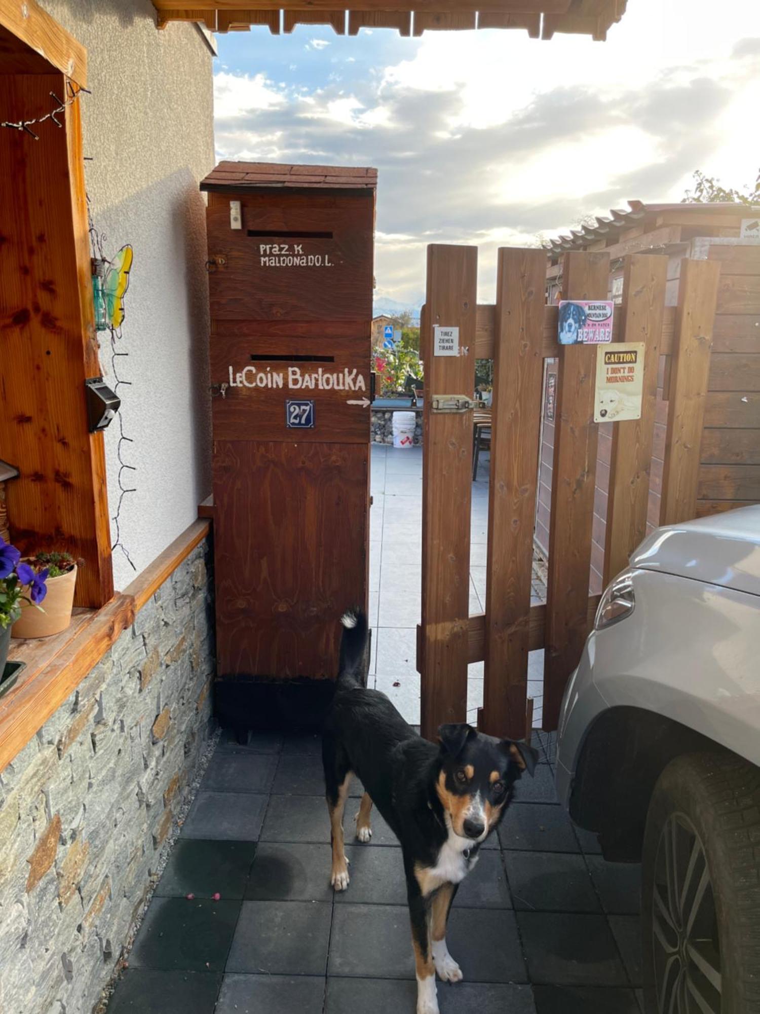 Le Coin Barlouka Veysonnaz Exterior foto